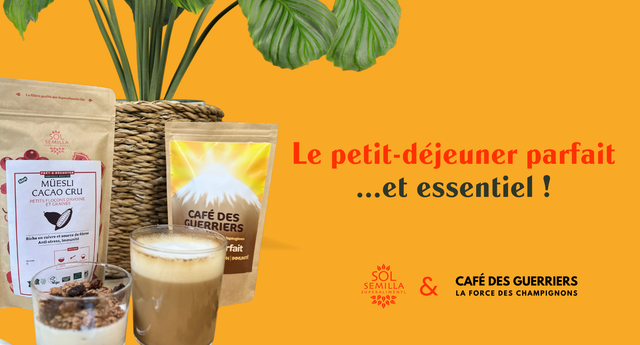 petit-dej parfait sol semilla café des guerriers