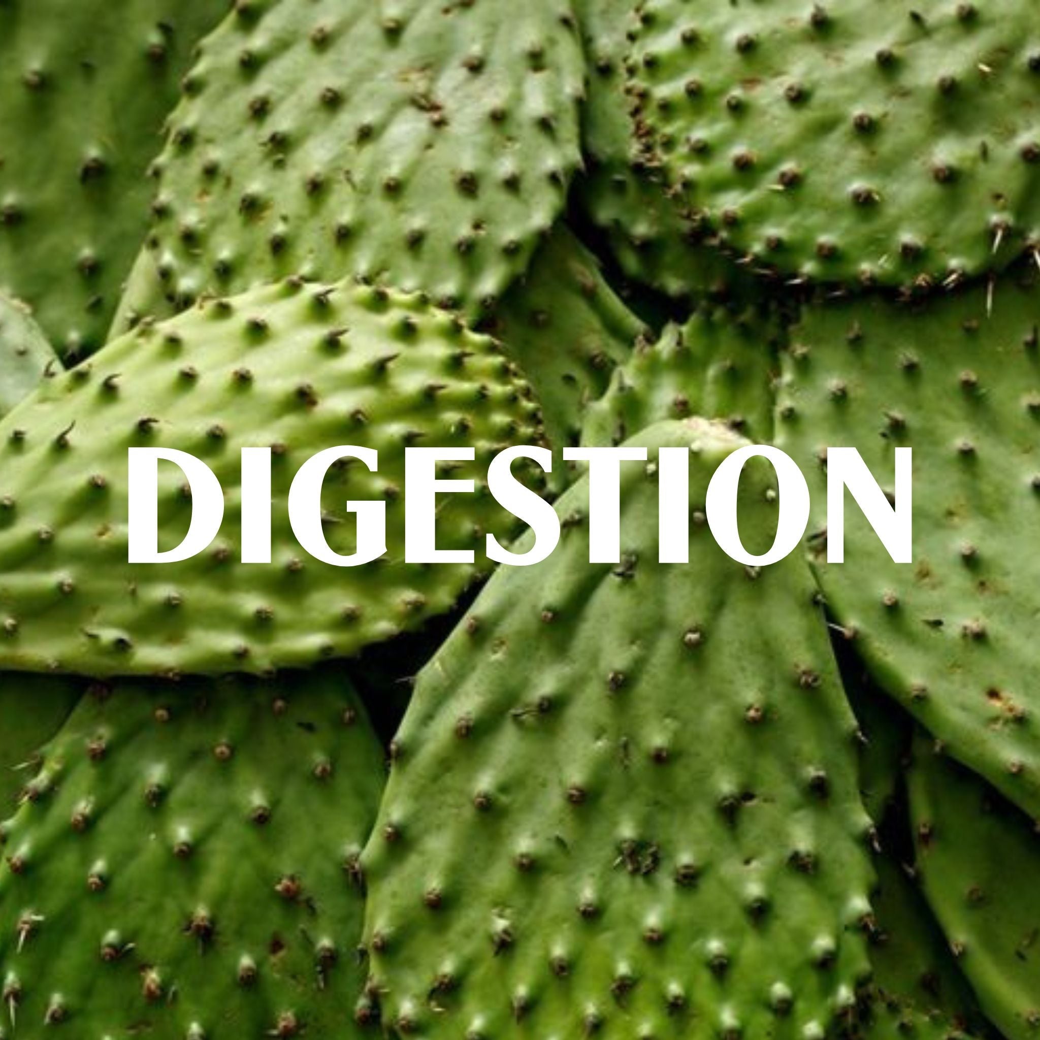 digestion selection superaliments sol semilla bio qualité