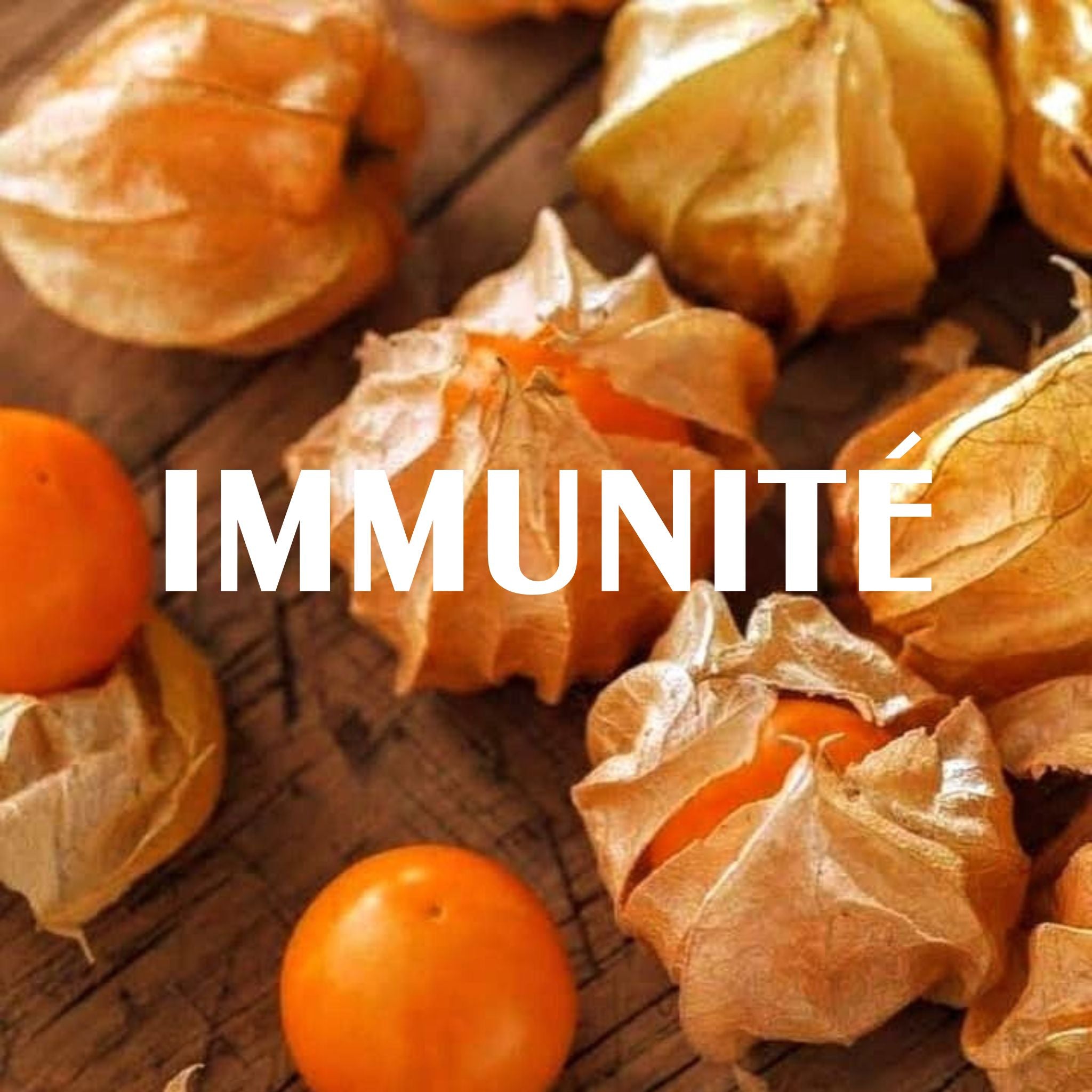 immunité selection superaliments sol semilla bio qualité