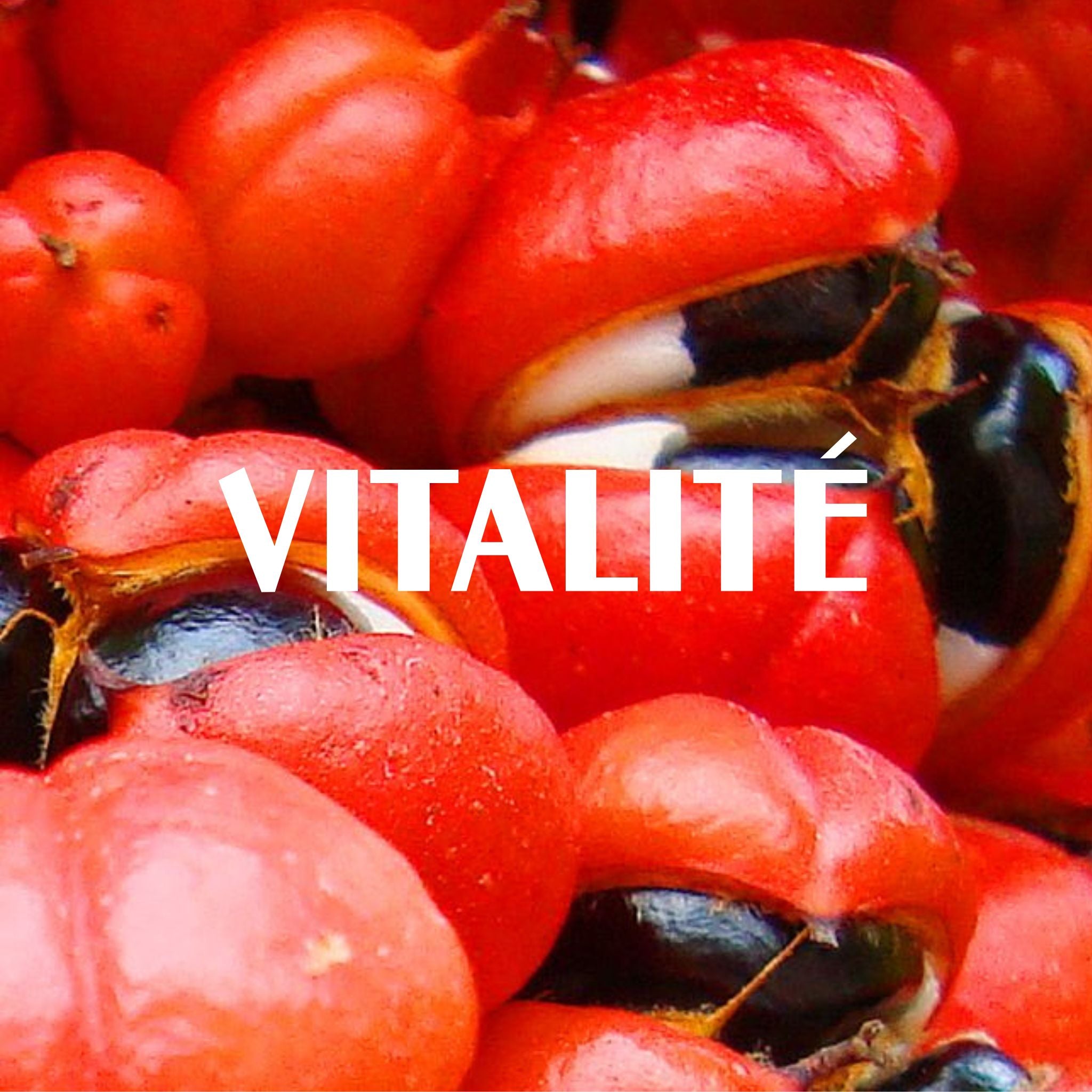 vitalité selection superaliments sol semilla bio qualité