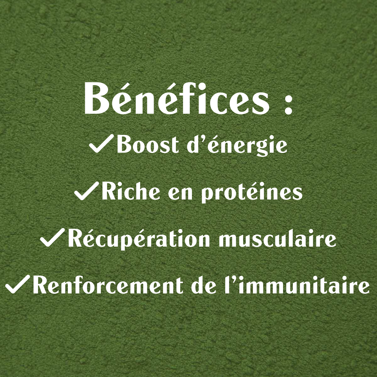 Spiruline BIO crue - Poudre - Sol Semilla