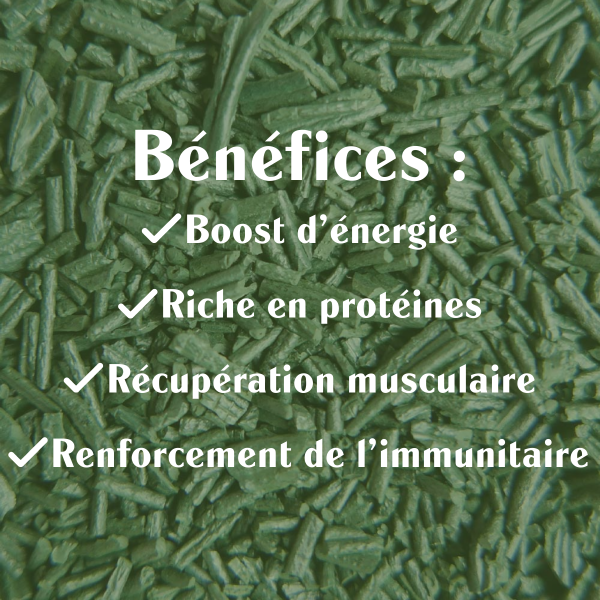Spiruline BIO Crue - Brindilles - Sol Semilla
