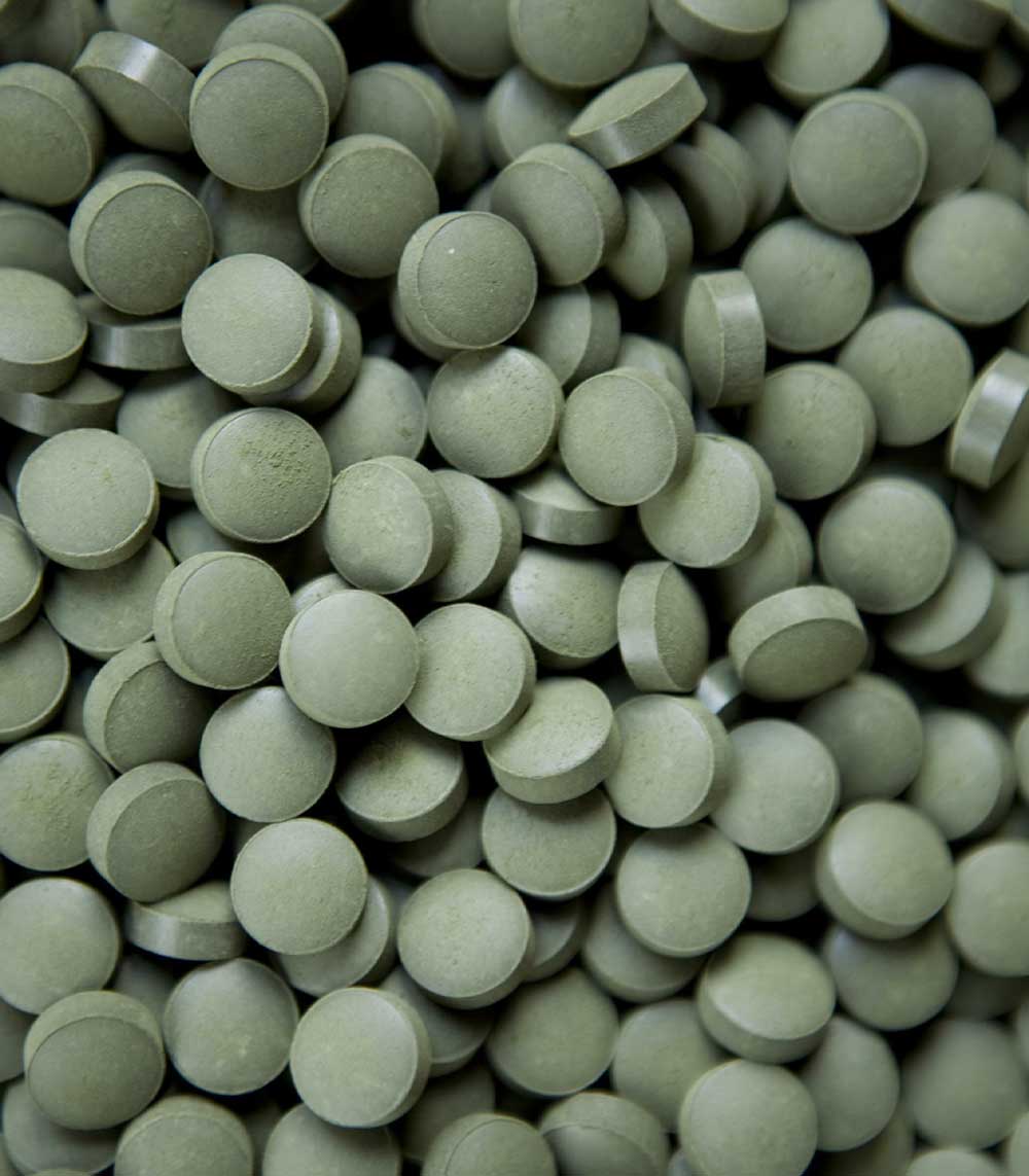 Klamath Crue BIO - Comprimés - Sol Semilla