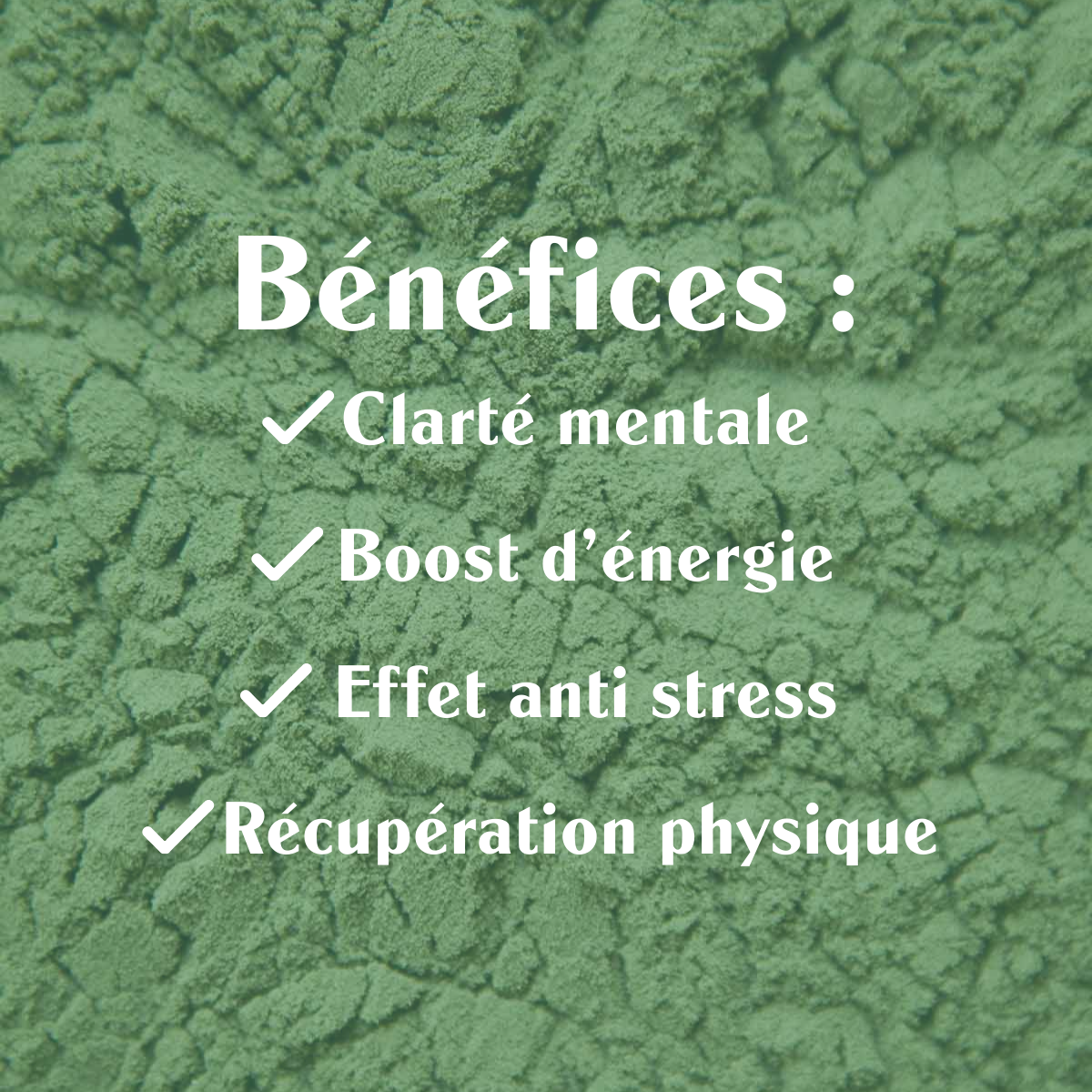 Klamath en poudre sol semilla bio