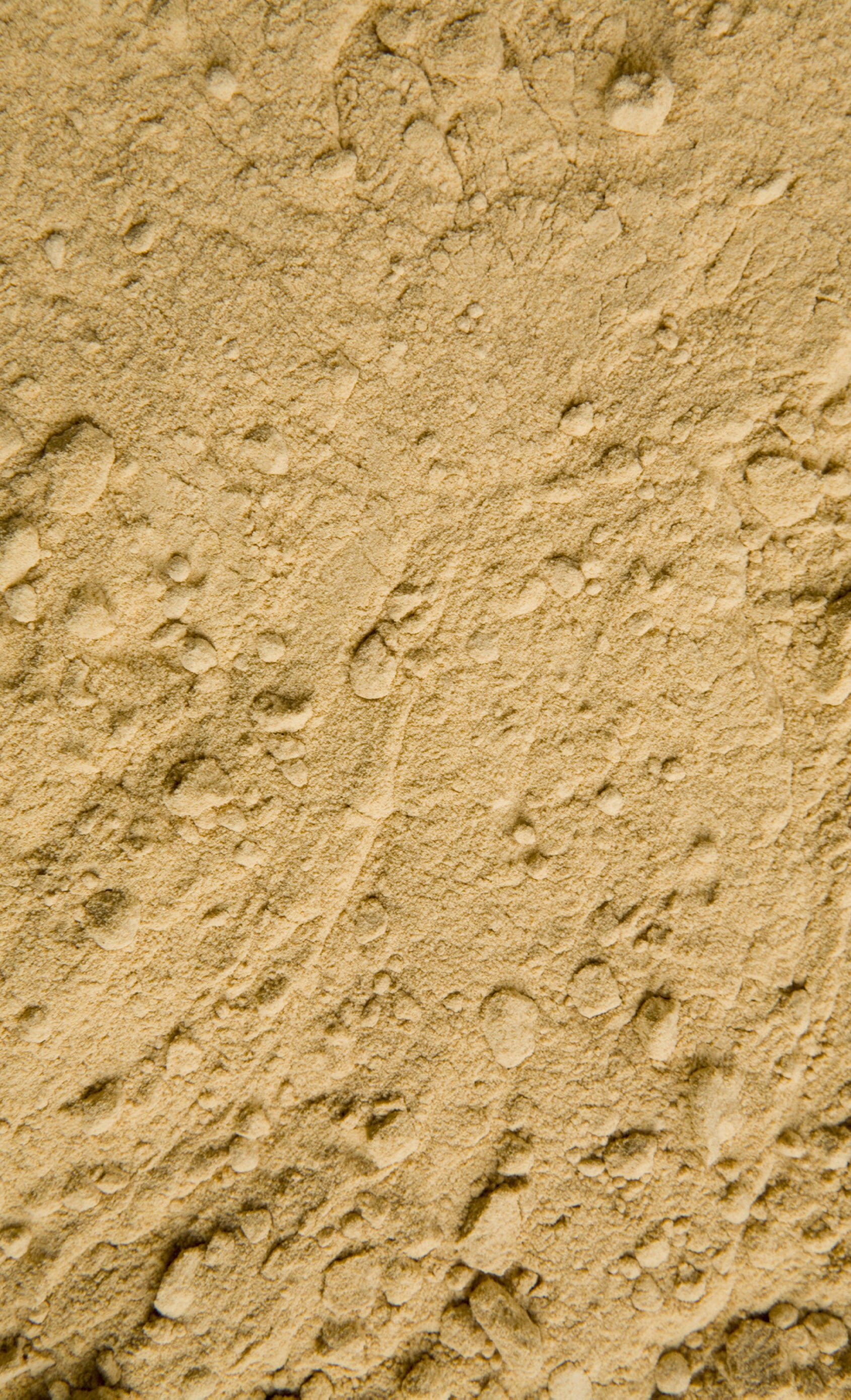 Caroube Crue Méditerranéenne BIO - Poudre - Sol Semilla