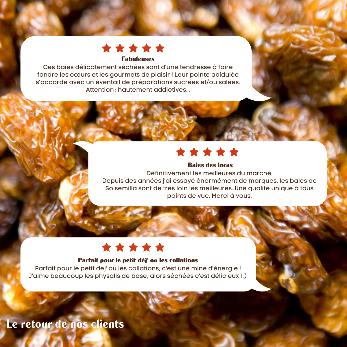 Aguaymanto BIO - Fruits séchés - Sol Semilla