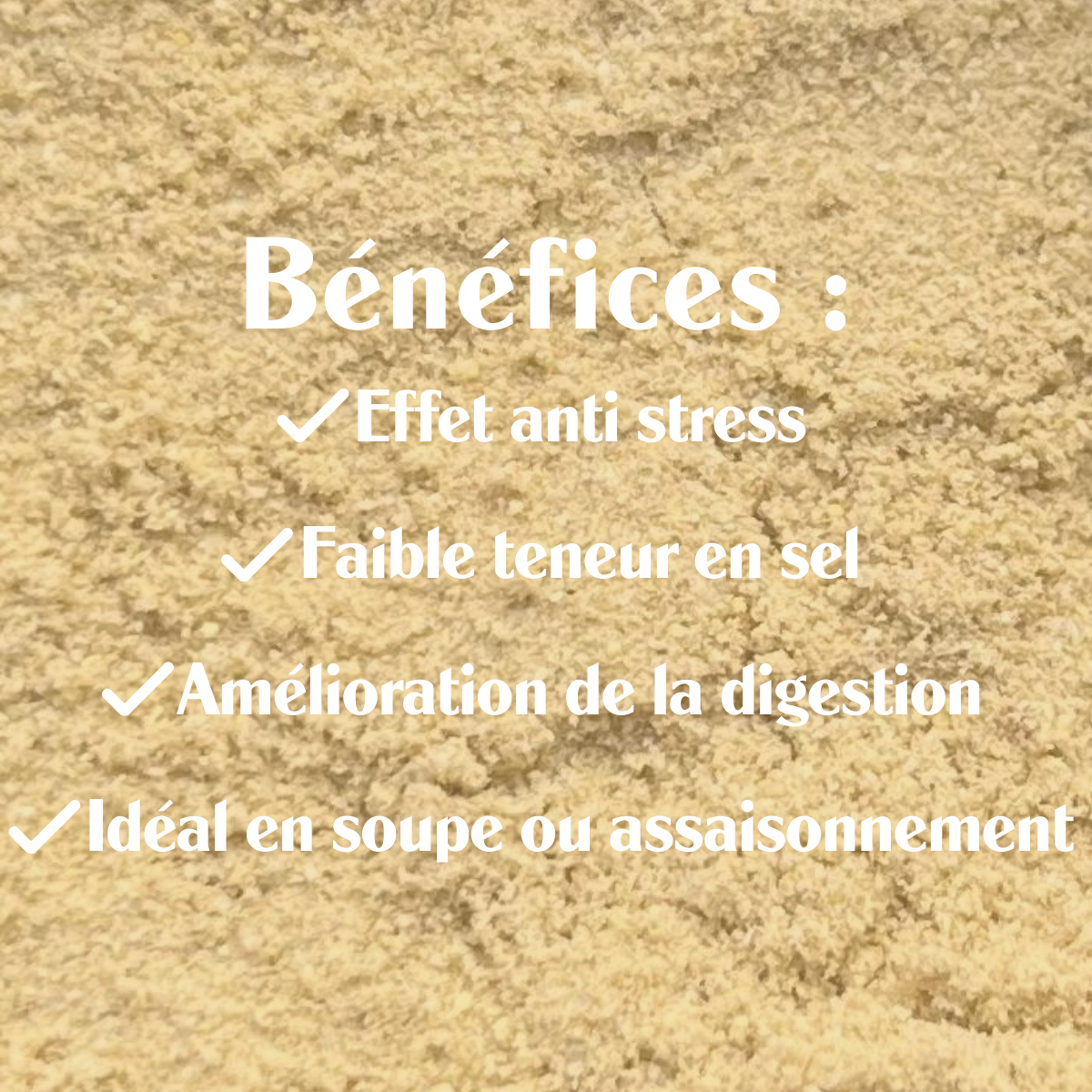 Bouillon Câlin d'Orient BIO Sol Semilla