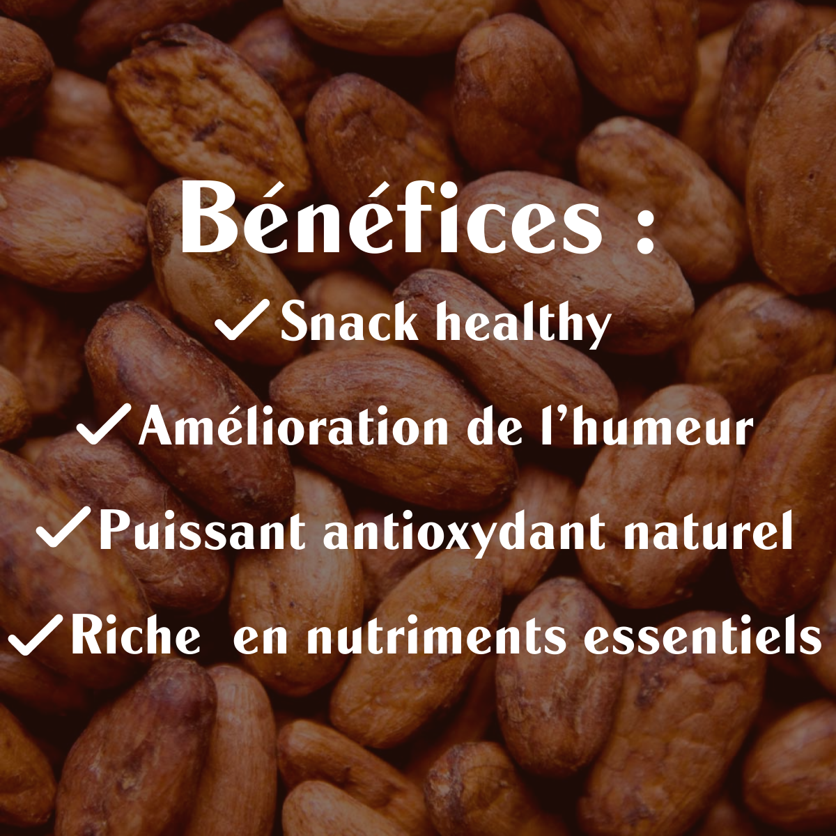 Cacao Criollo Cru BIO - Fèves - Sol Semilla