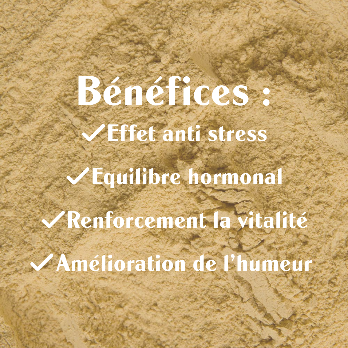 Maca BIO - Poudre - Sol Semilla