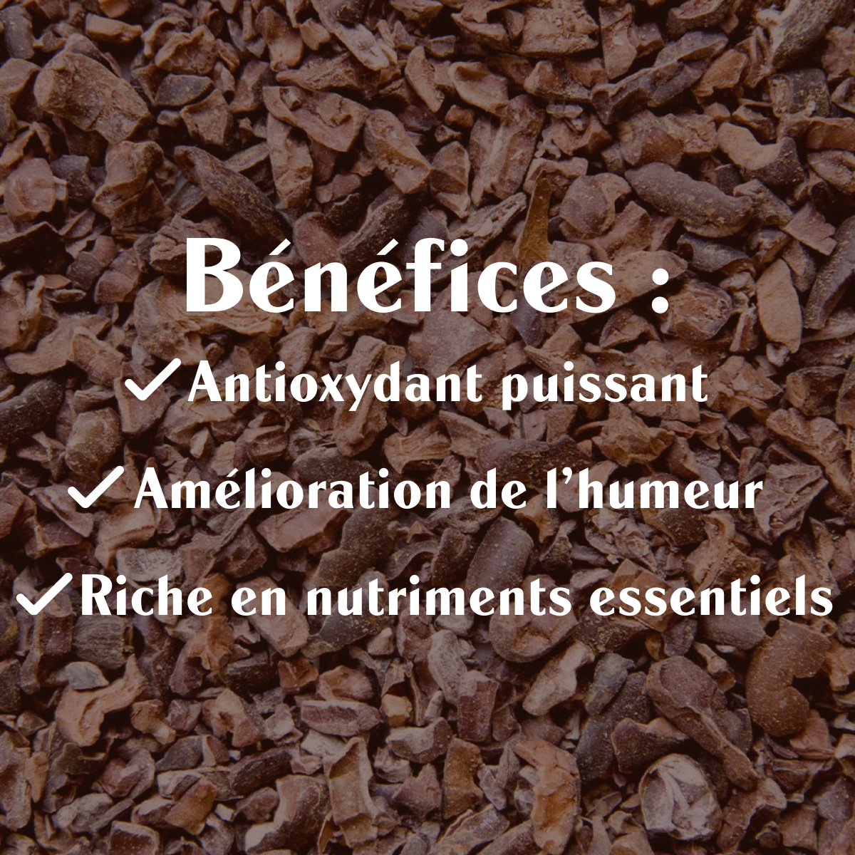 pepites_cacao_criollo_cru-bio