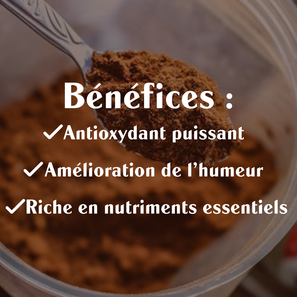 Cacao Criollo Cru BIO - Poudre - Sol Semilla