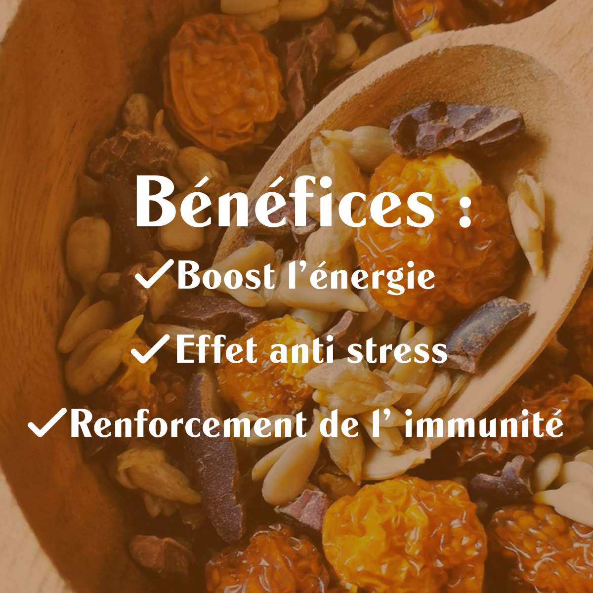 Super Topping Exotique BIO - Cacao Aguaymanto - Sol Semilla