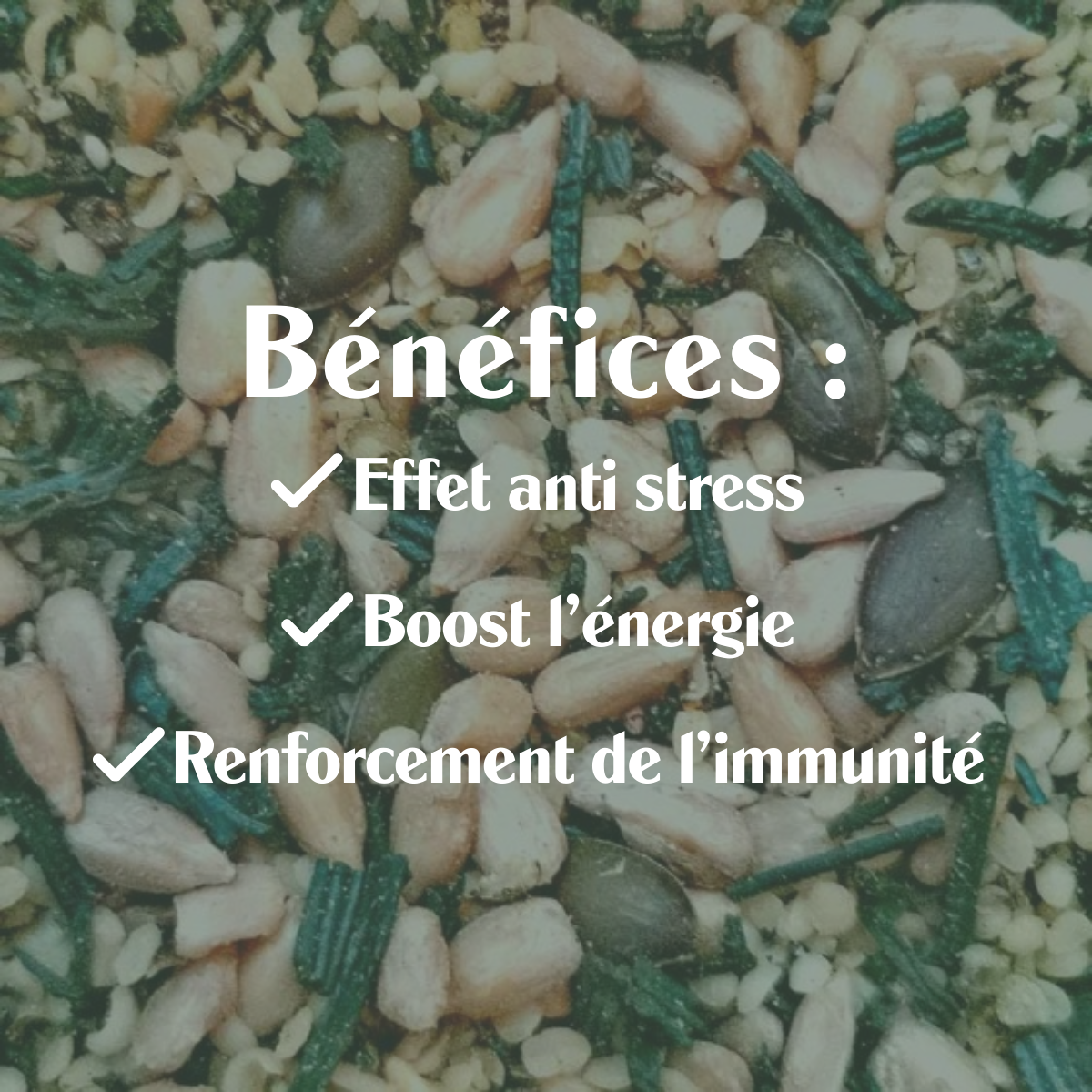 Super Topping  BIO - Spiruline Chanvre - Sol Semilla