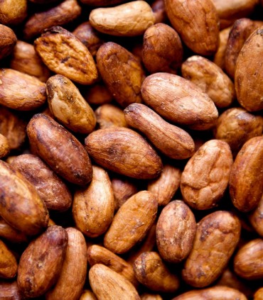 Beurre de Cacao Bio en Vrac, Livraison Gratuite Dès 39€