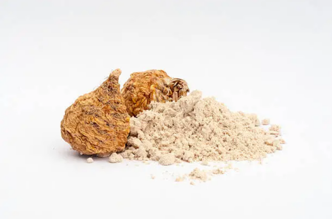 maca sol semilla bienfaits libido hormones fertilité