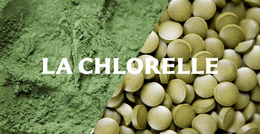 La Chlorelle Sol Semilla