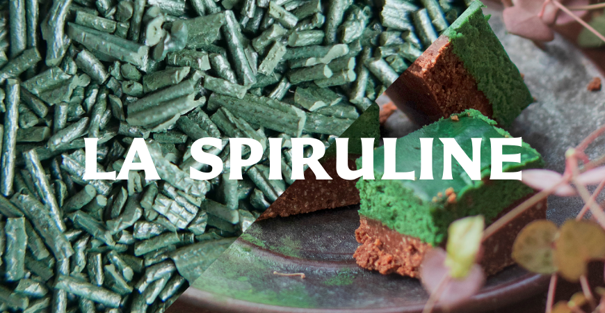 Spiruline cru recettes et bienfaits Sol Semilla