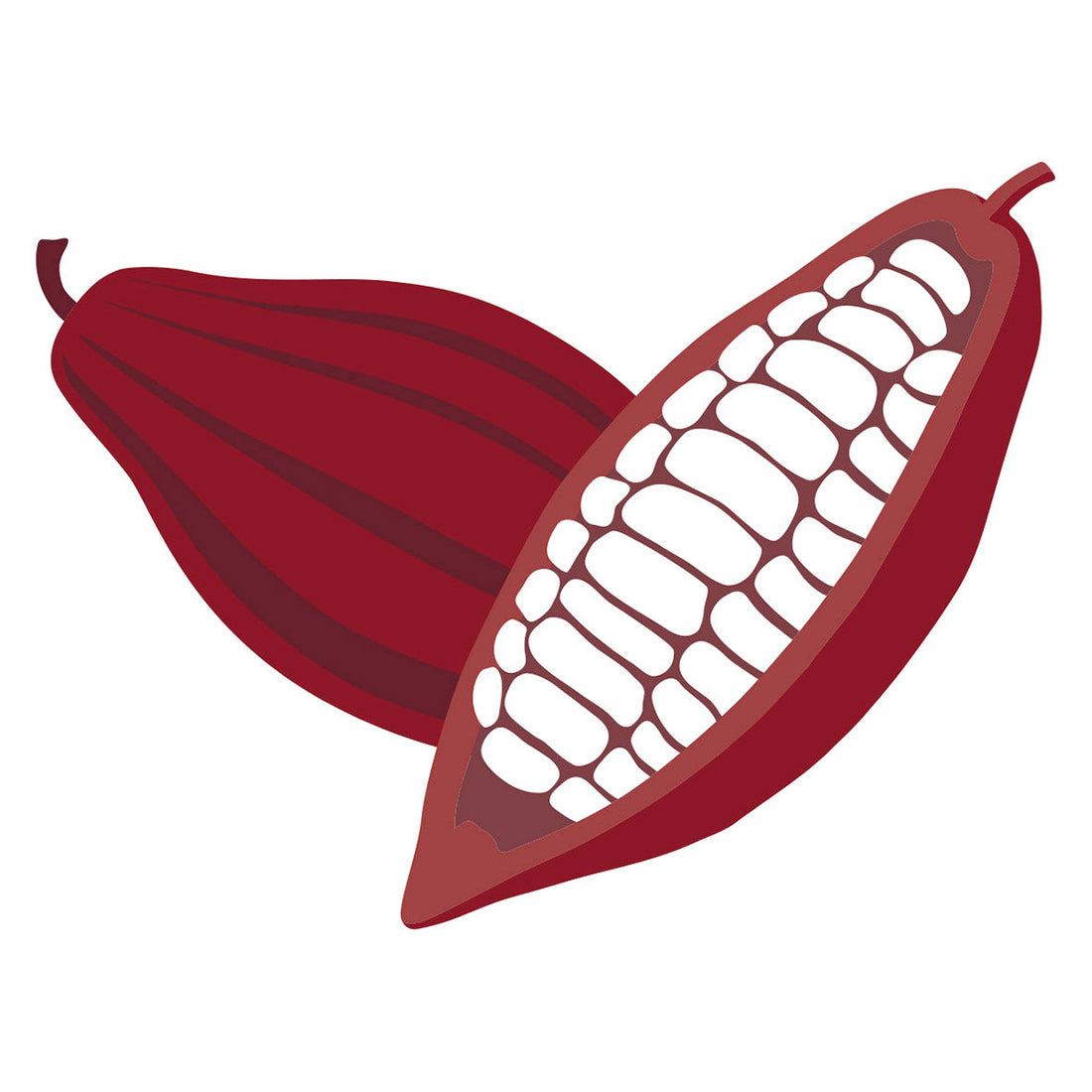 Cacao cru