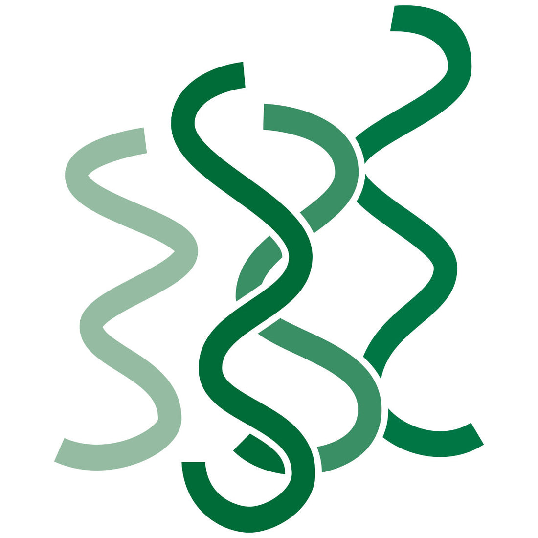 spiruline crue de qualité sol semilla