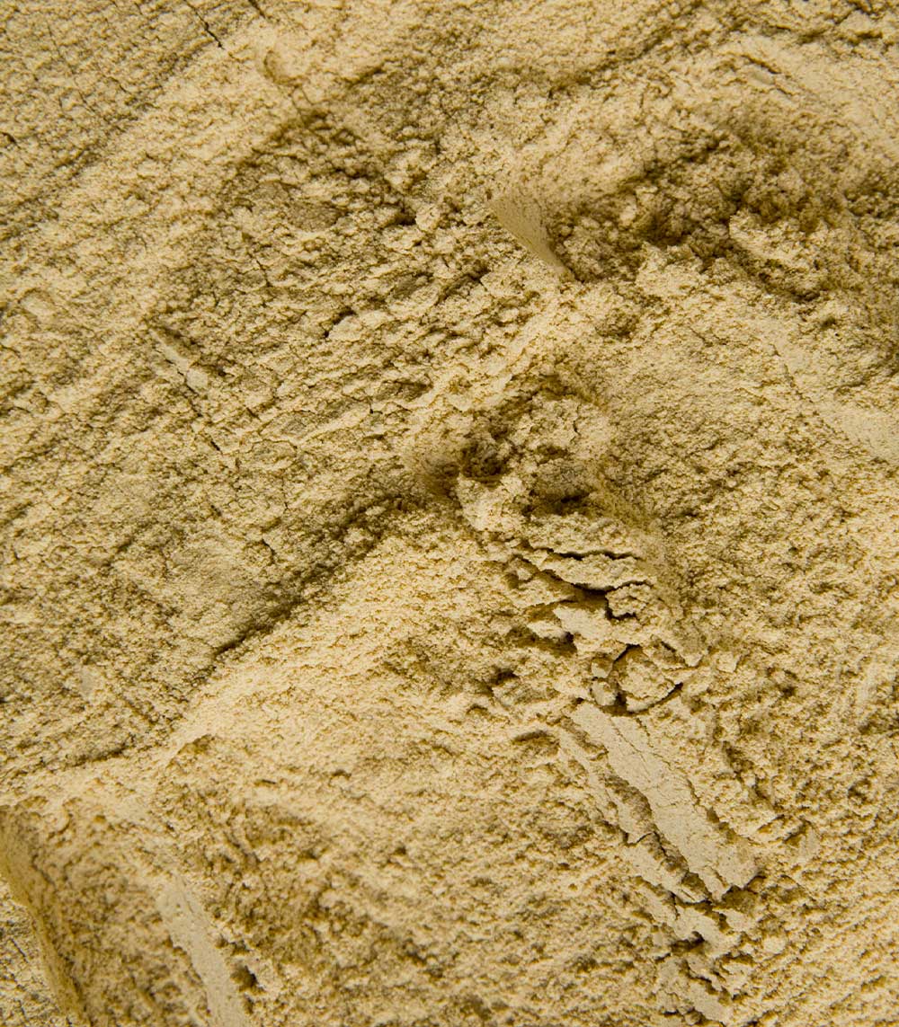 Organic Maca - Powder