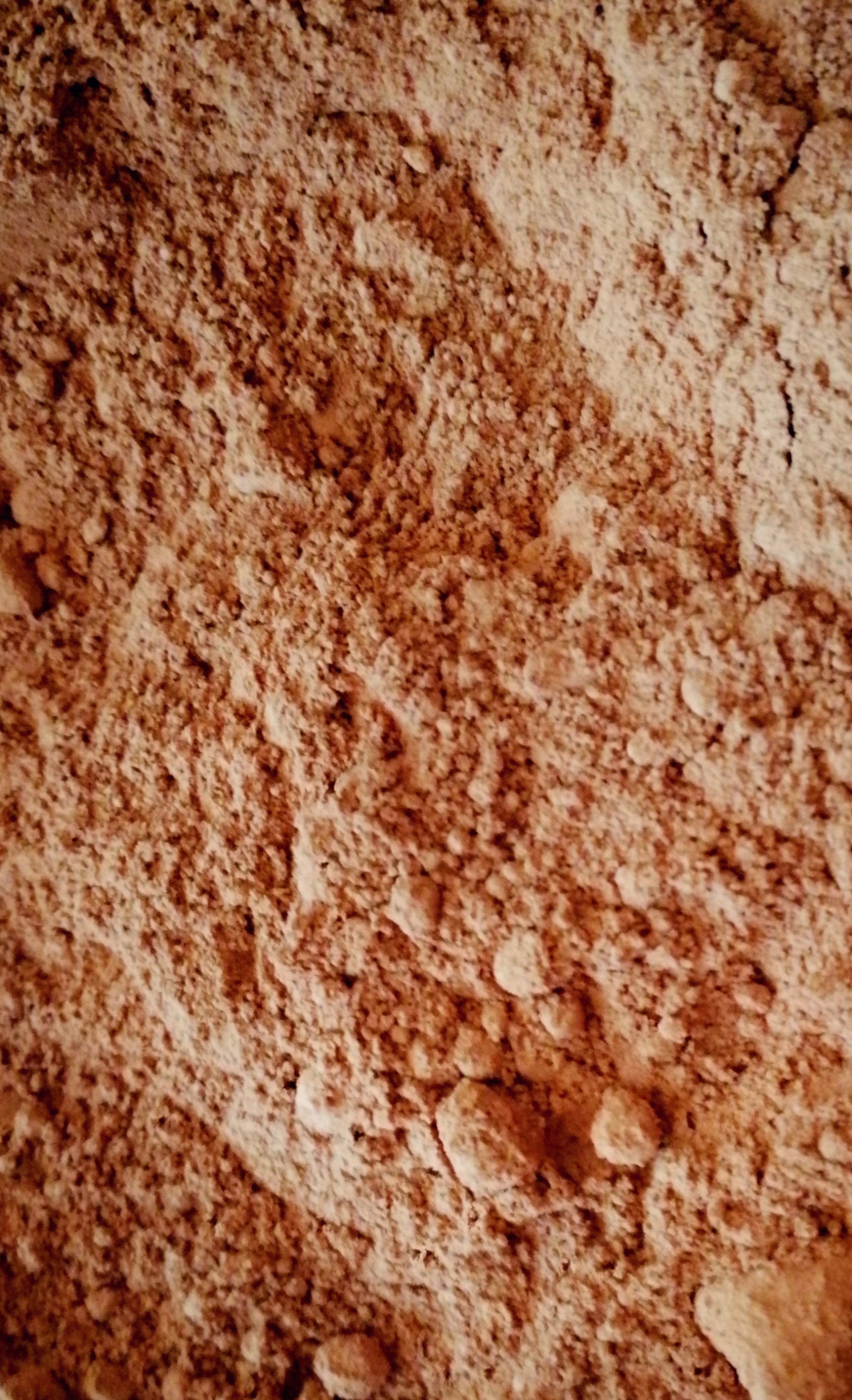 Raw Organic Cocoa - Powder 