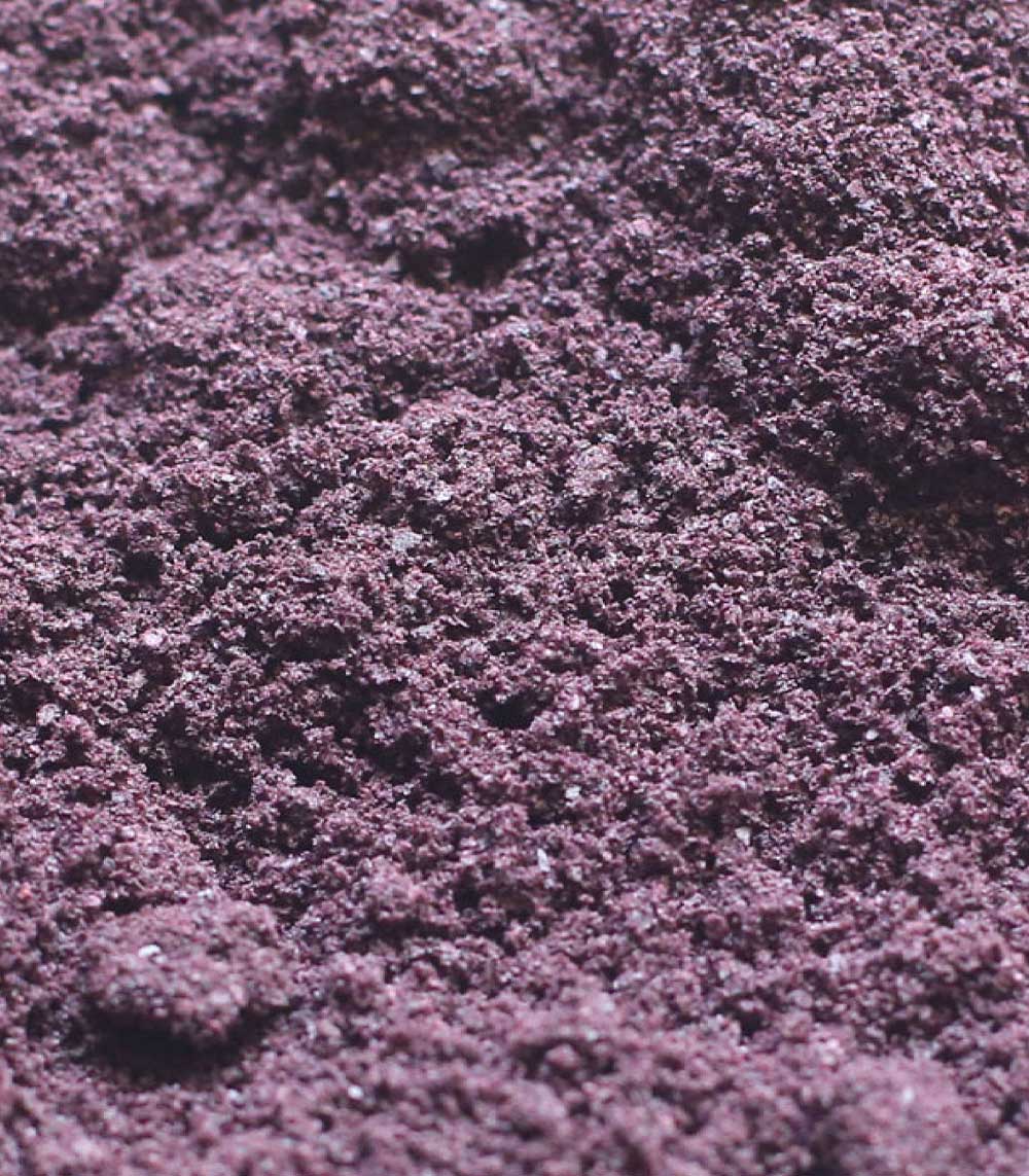 Acai Bio - Poudre