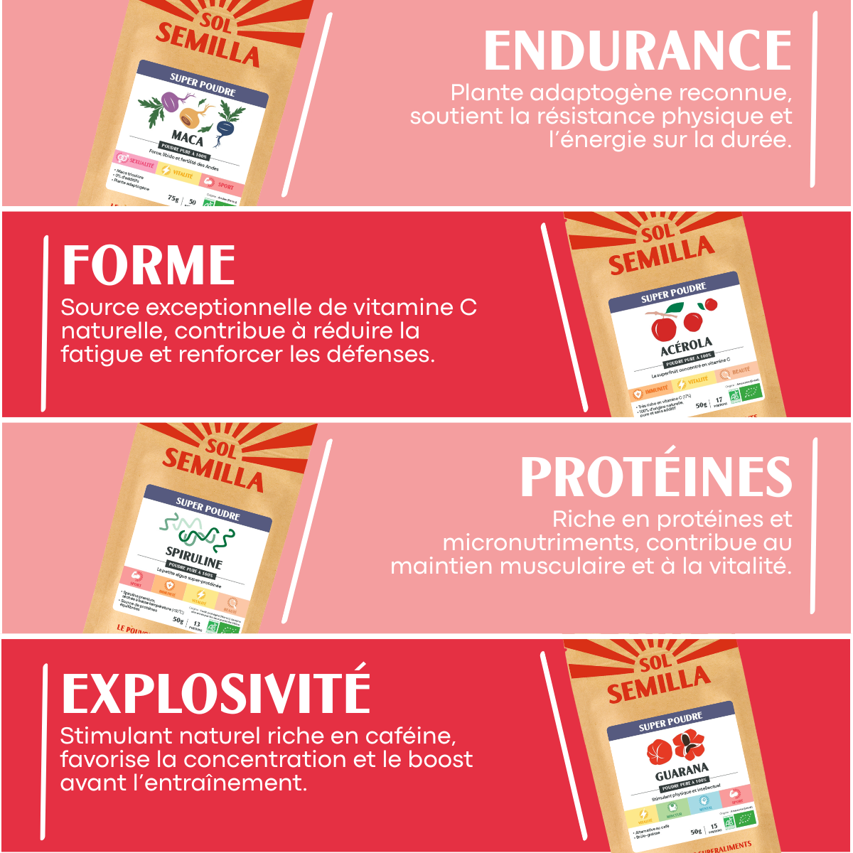 Pack Sport - Performance - Sol Semilla