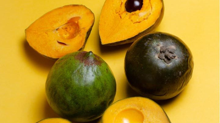 Sol Semilla superaliments qualité bio purs