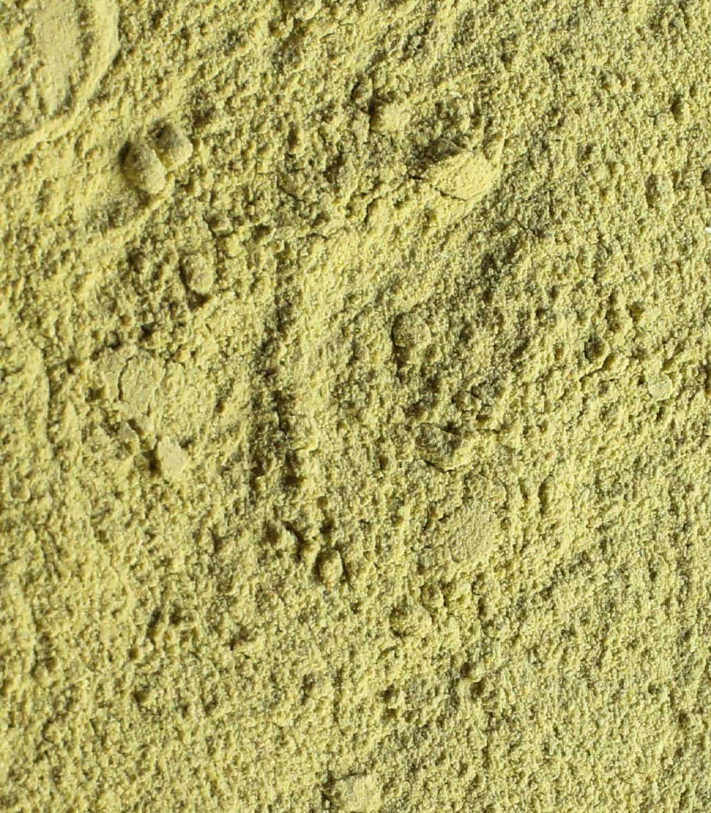 Nopal BIO Raw - Powder