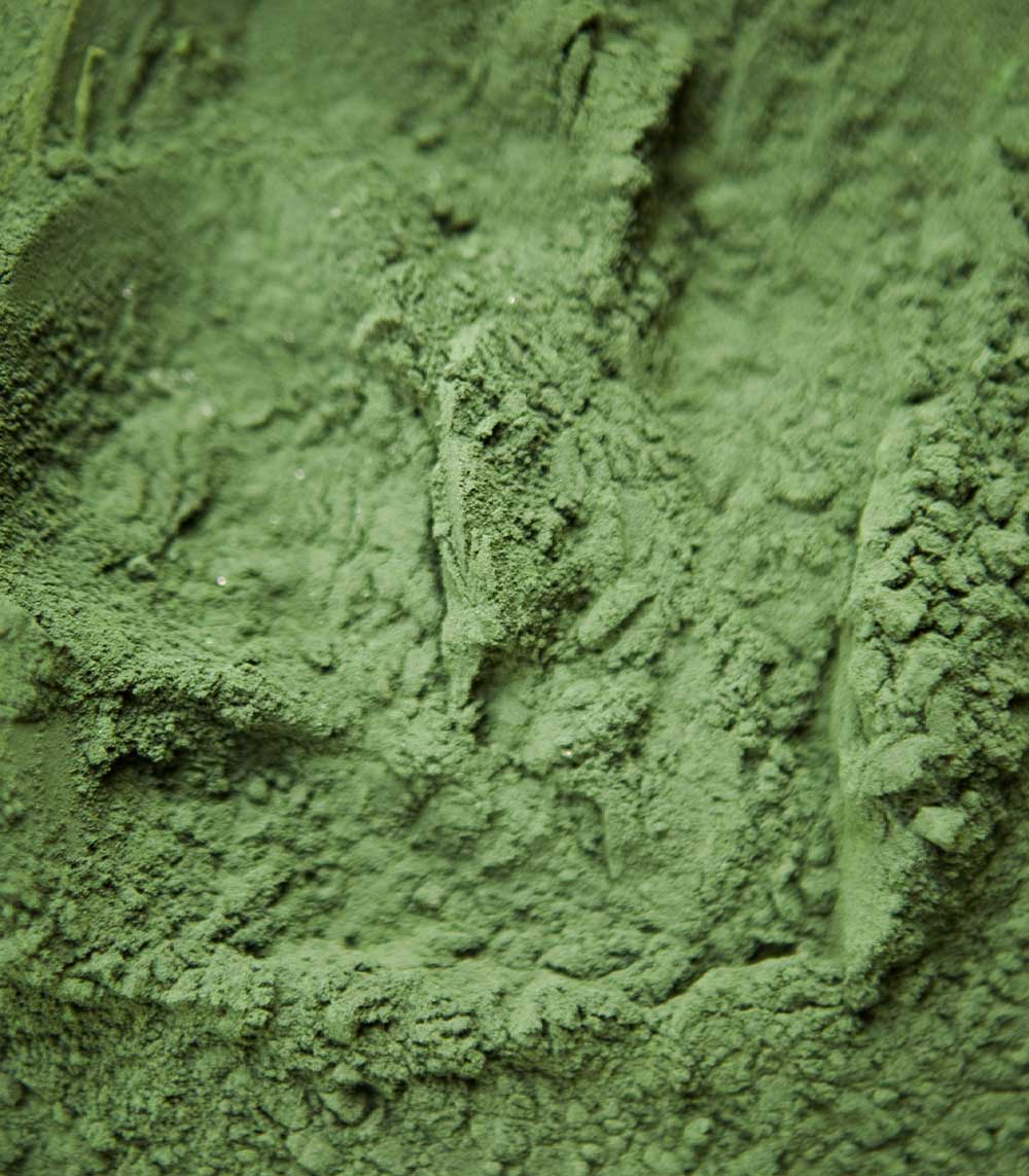 Raw Chlorella - Powder